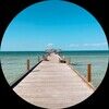 rachellep481
